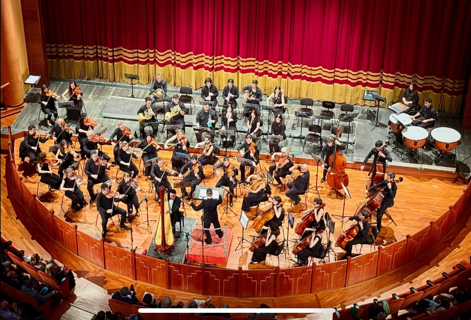 Andrea Barizza with Orchestra Sinfonica del Conservatorio Sassari