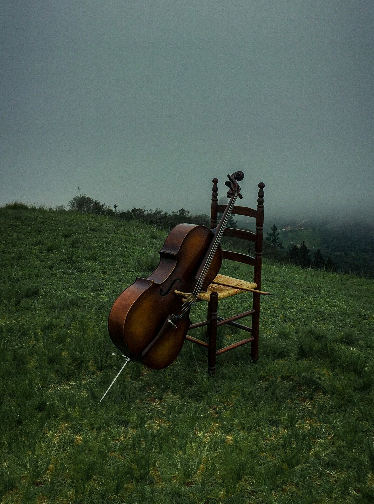sedia sul prato con un violoncello